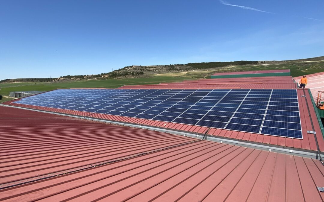 ¿Qué es el autoconsumo eléctrico?